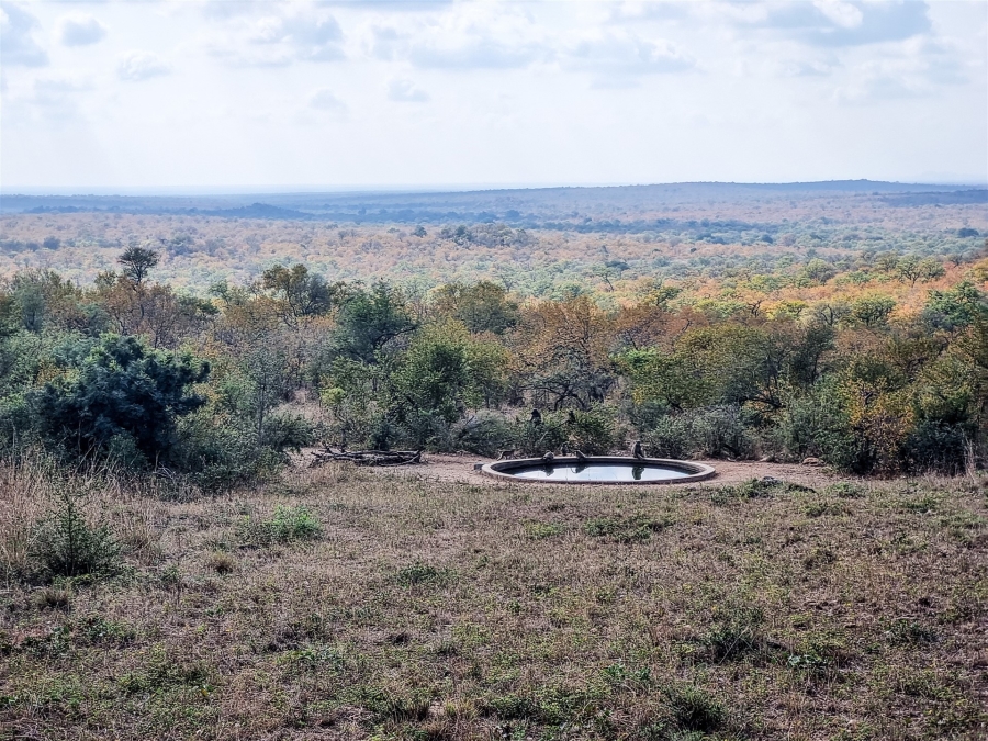 6 Bedroom Property for Sale in Selati Game Reserve Limpopo