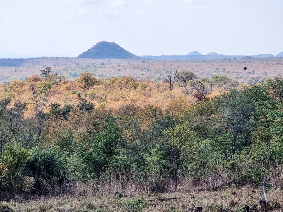 6 Bedroom Property for Sale in Selati Game Reserve Limpopo