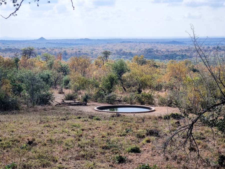 6 Bedroom Property for Sale in Selati Game Reserve Limpopo