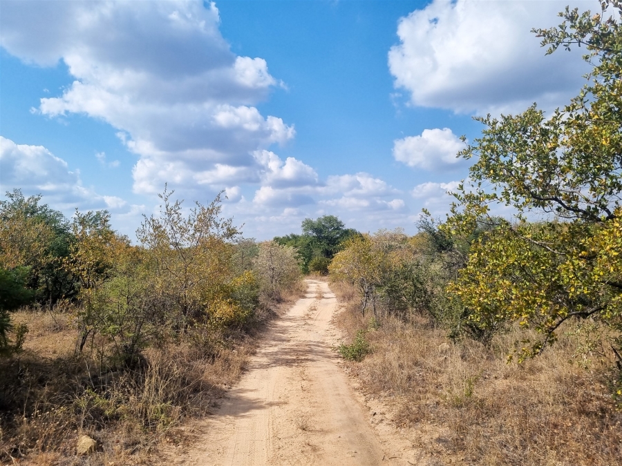 6 Bedroom Property for Sale in Selati Game Reserve Limpopo