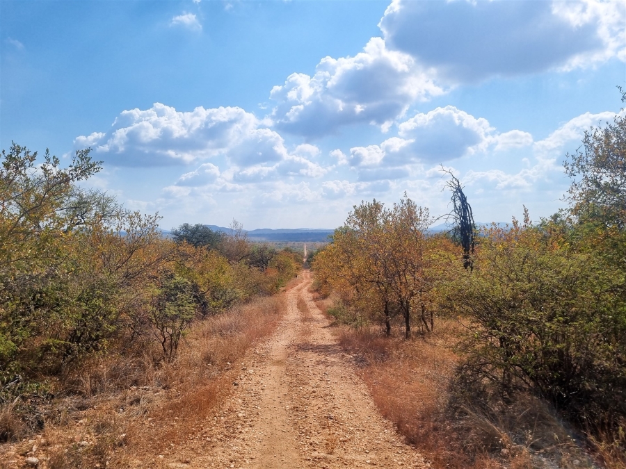 6 Bedroom Property for Sale in Selati Game Reserve Limpopo