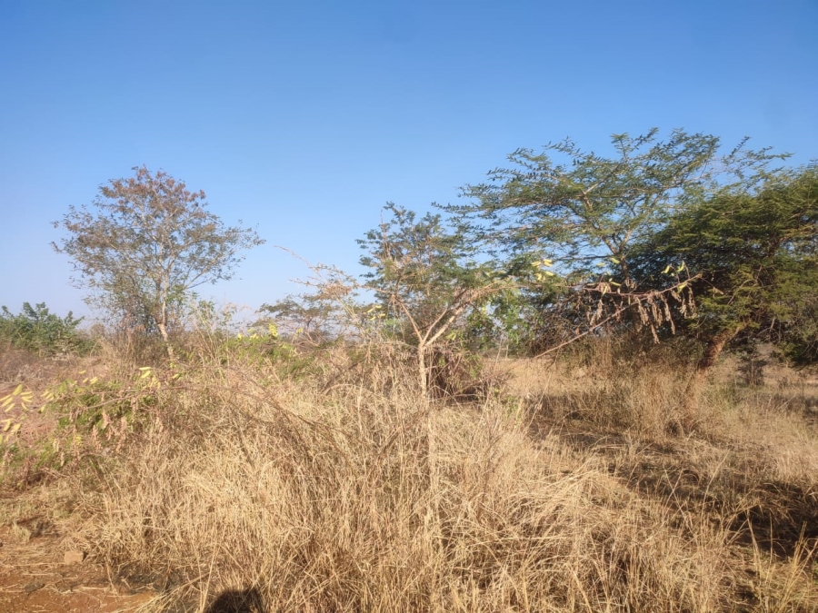 0 Bedroom Property for Sale in Thohoyandou Limpopo