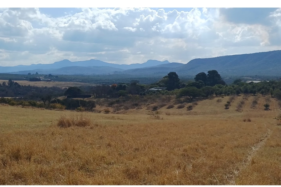0 Bedroom Property for Sale in Louis Trichardt Limpopo