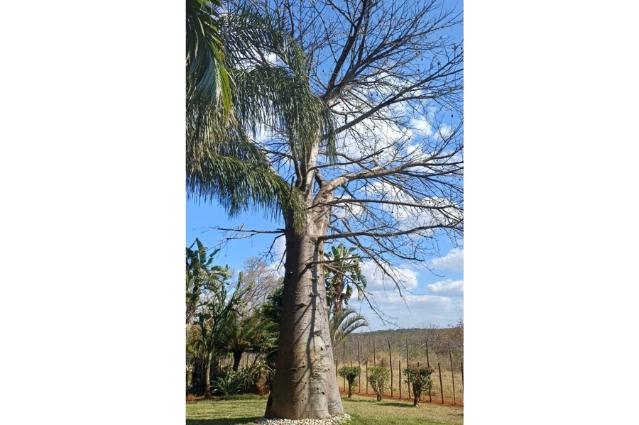 0 Bedroom Property for Sale in Louis Trichardt Limpopo