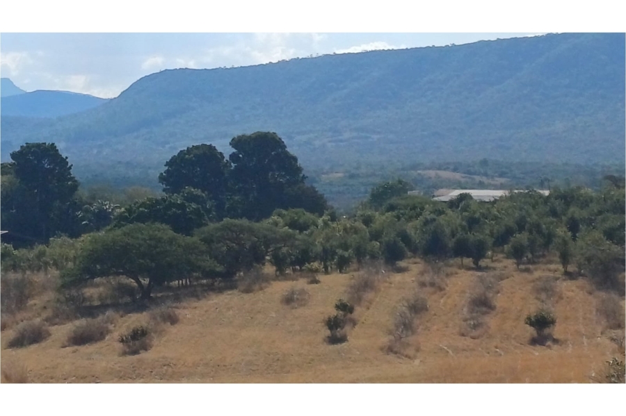 0 Bedroom Property for Sale in Louis Trichardt Limpopo