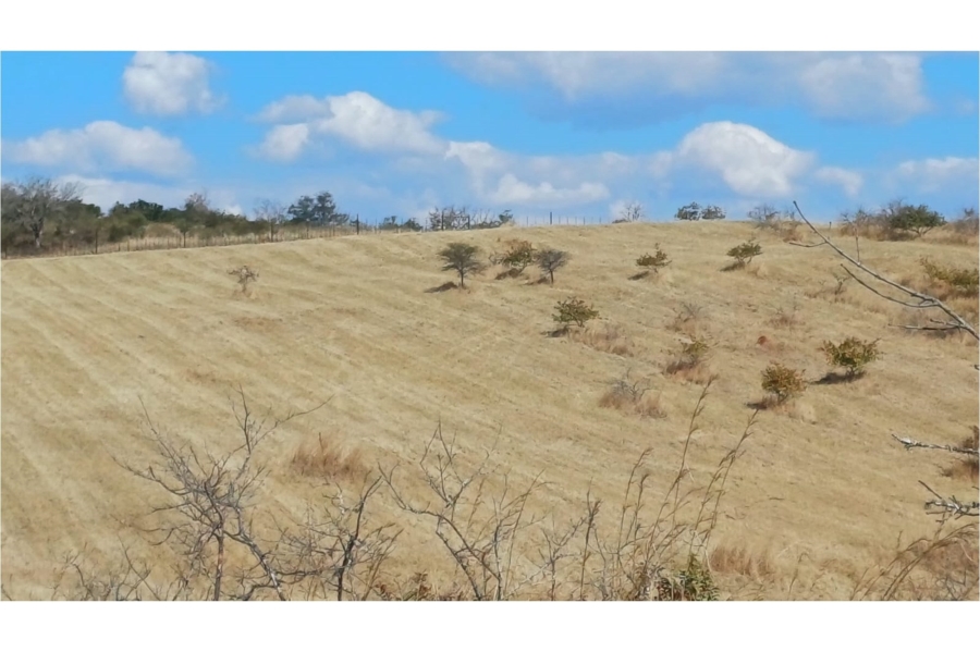 0 Bedroom Property for Sale in Louis Trichardt Limpopo