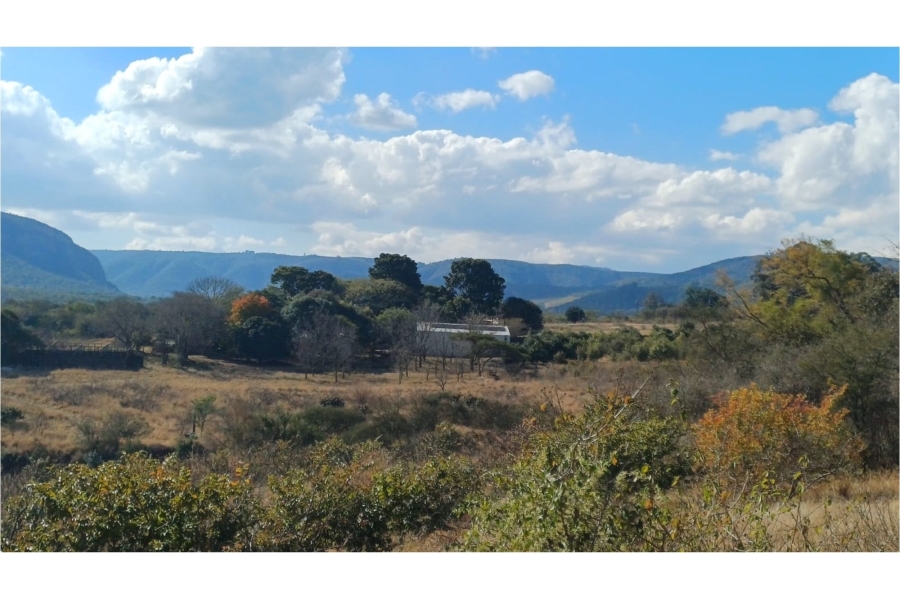 0 Bedroom Property for Sale in Louis Trichardt Limpopo