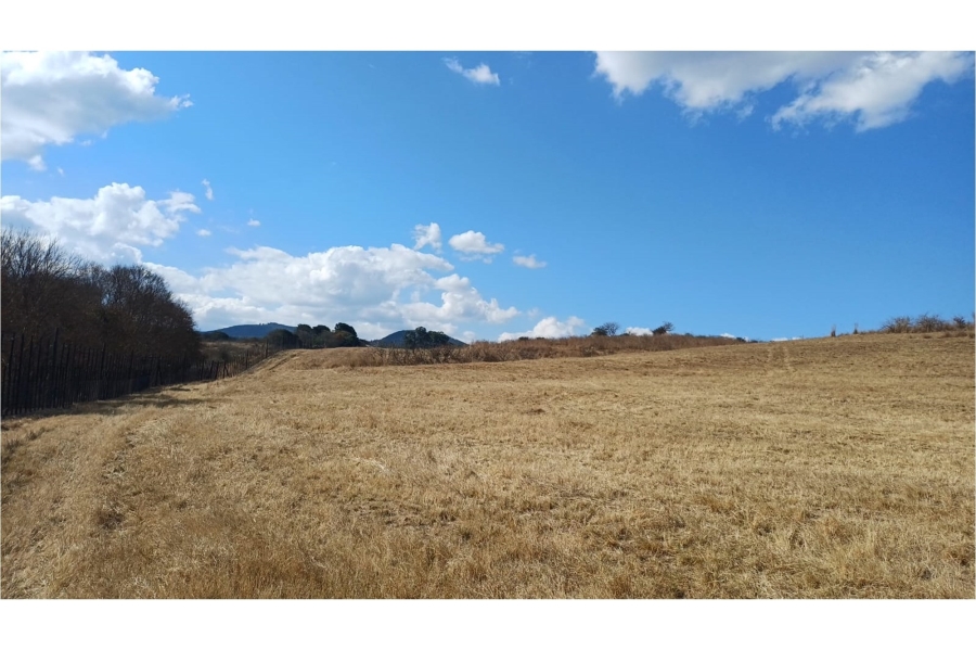 0 Bedroom Property for Sale in Louis Trichardt Limpopo