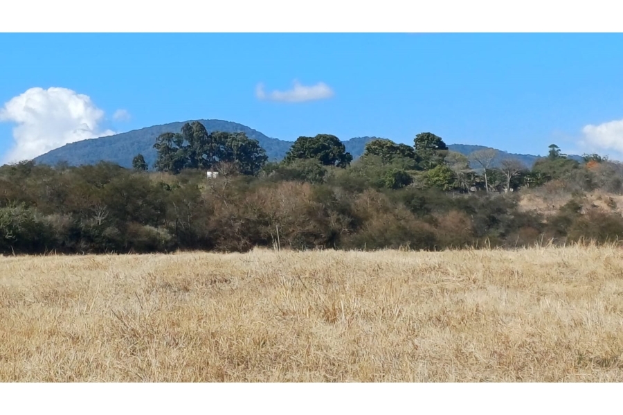 0 Bedroom Property for Sale in Louis Trichardt Limpopo