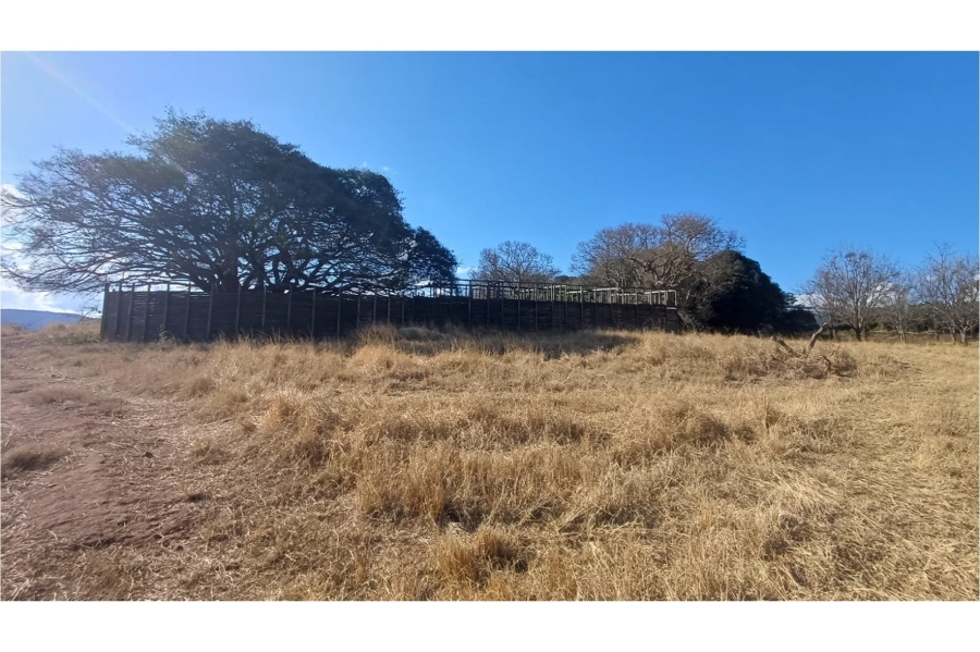 0 Bedroom Property for Sale in Louis Trichardt Limpopo