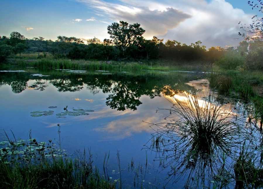 0 Bedroom Property for Sale in Verloren Estate Limpopo