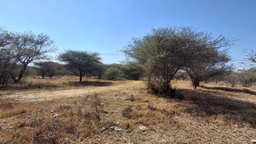 8 Bedroom Property for Sale in Palmietfontein Limpopo