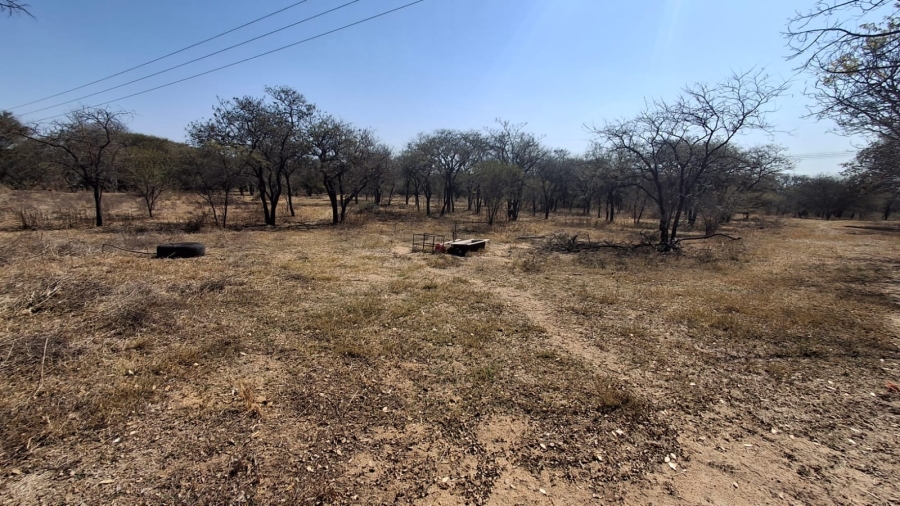 8 Bedroom Property for Sale in Palmietfontein Limpopo