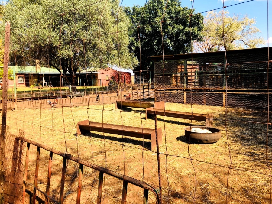 4 Bedroom Property for Sale in Bela Bela Limpopo
