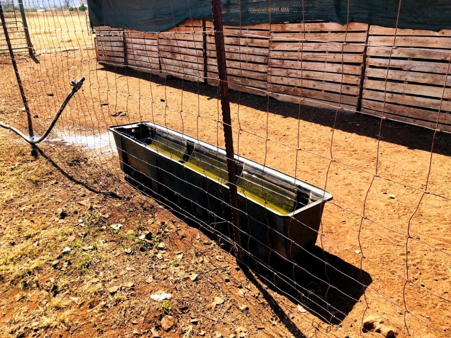 4 Bedroom Property for Sale in Bela Bela Limpopo