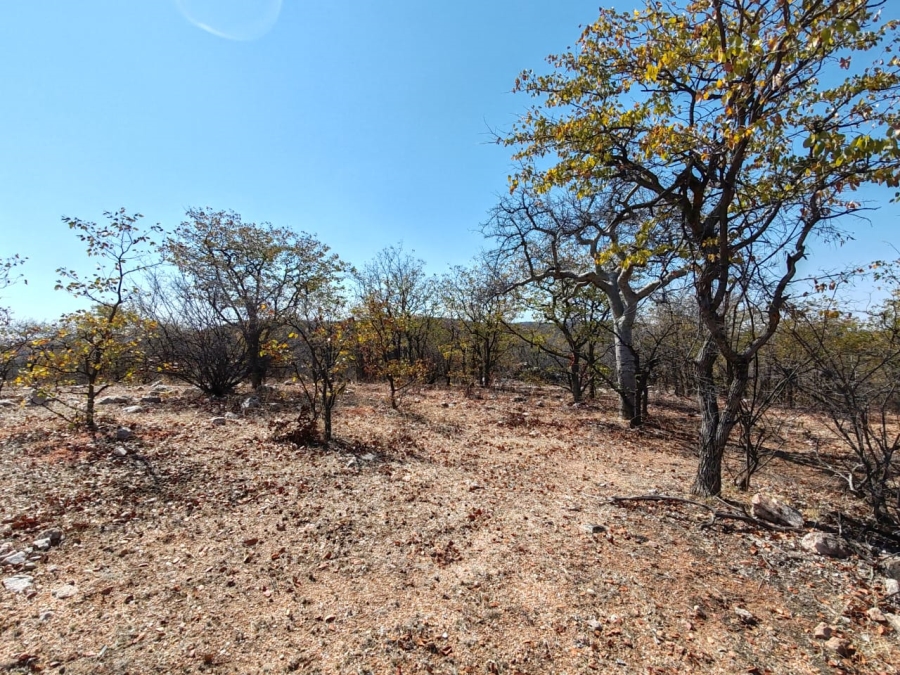 Commercial Property for Sale in Mopane Limpopo