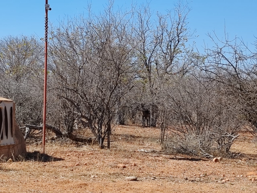Commercial Property for Sale in Mopane Limpopo