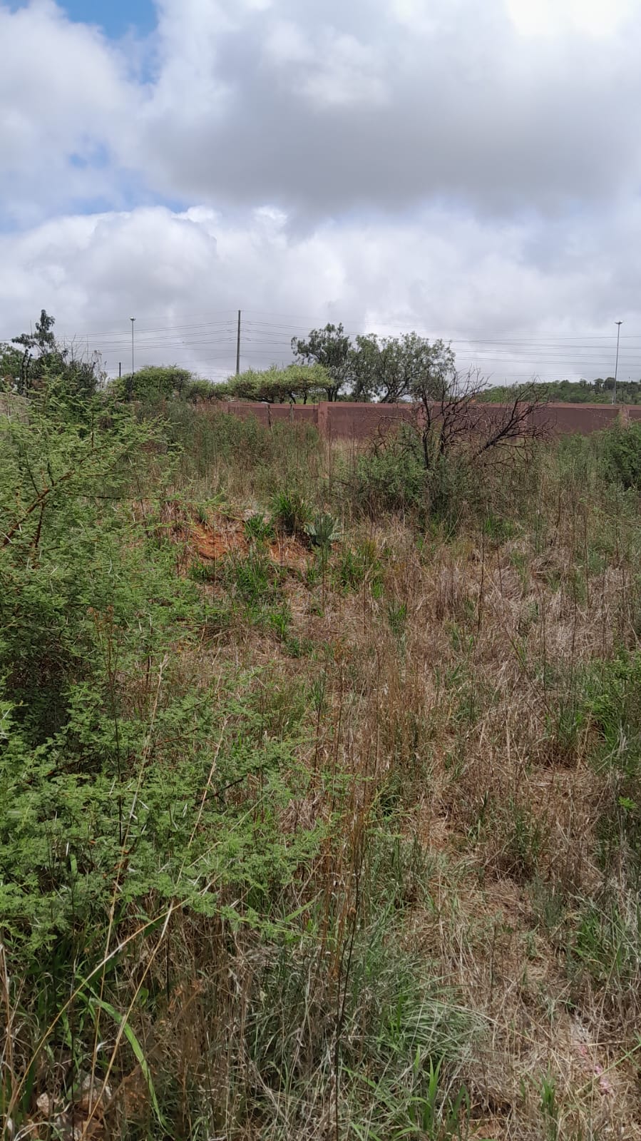 0 Bedroom Property for Sale in Serala View Limpopo