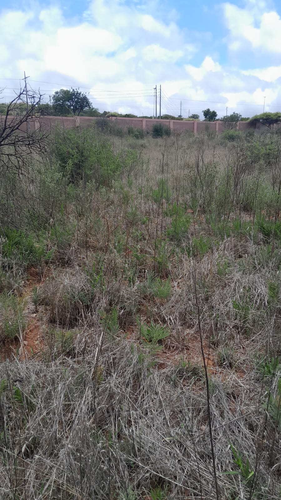 0 Bedroom Property for Sale in Serala View Limpopo