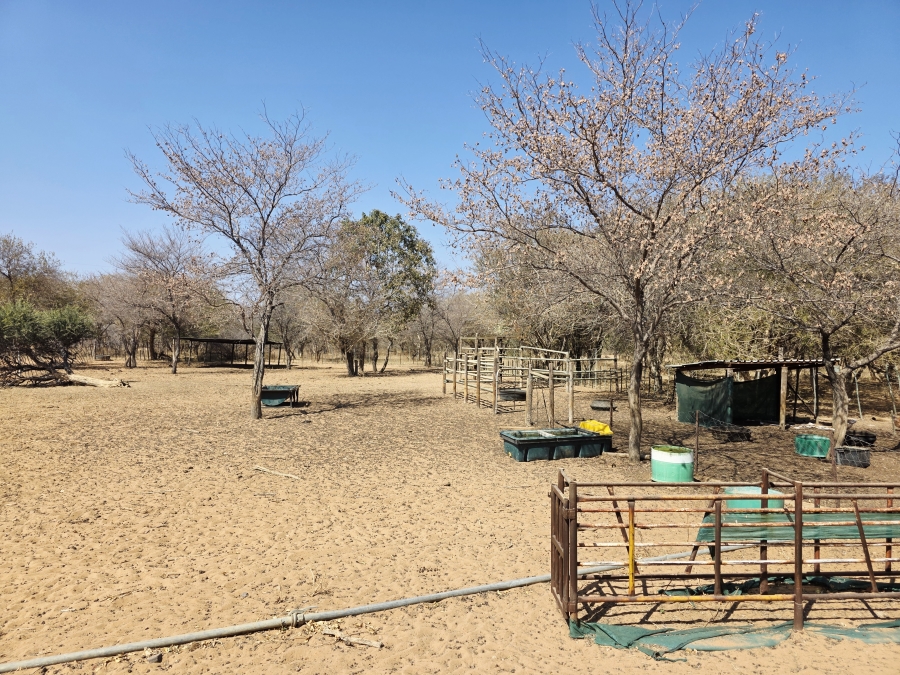 5 Bedroom Property for Sale in Thabazimbi Limpopo