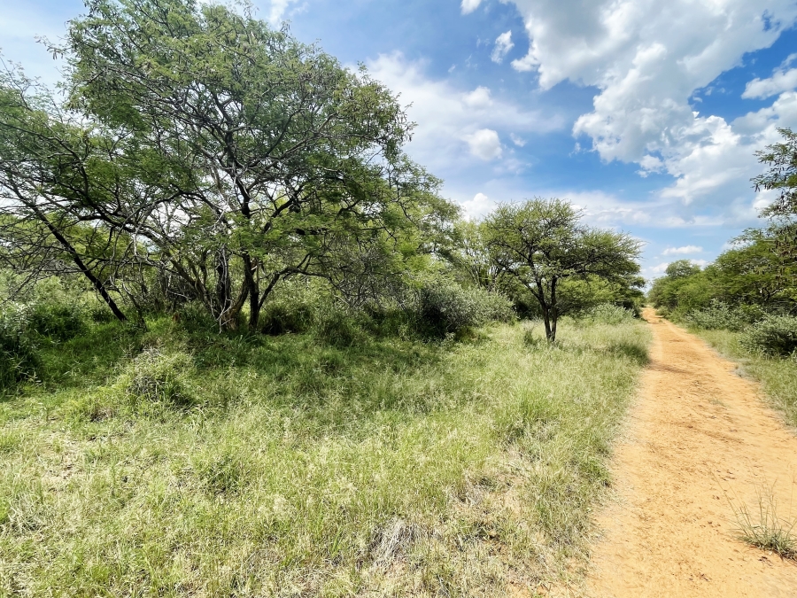 5 Bedroom Property for Sale in Thabazimbi Limpopo