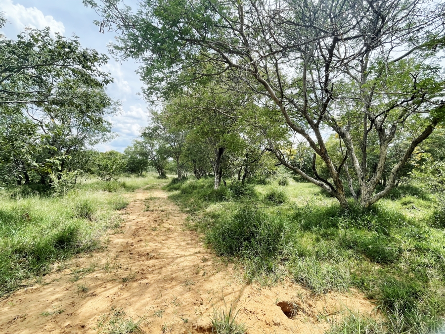 5 Bedroom Property for Sale in Thabazimbi Limpopo