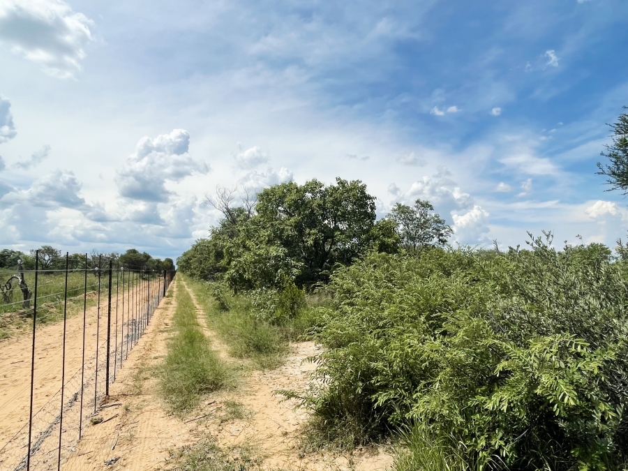 5 Bedroom Property for Sale in Thabazimbi Limpopo