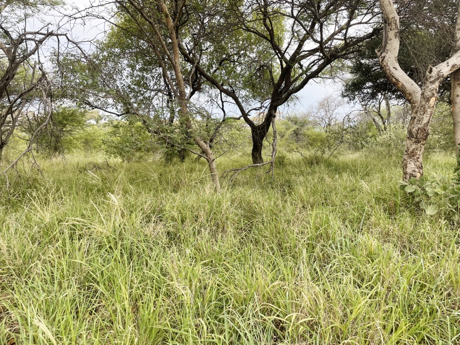 5 Bedroom Property for Sale in Thabazimbi Limpopo