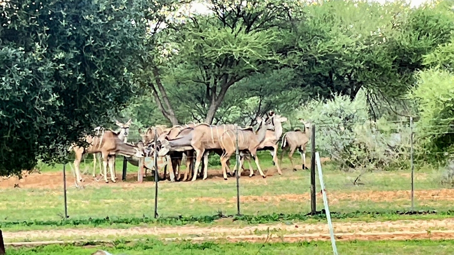 5 Bedroom Property for Sale in Thabazimbi Limpopo