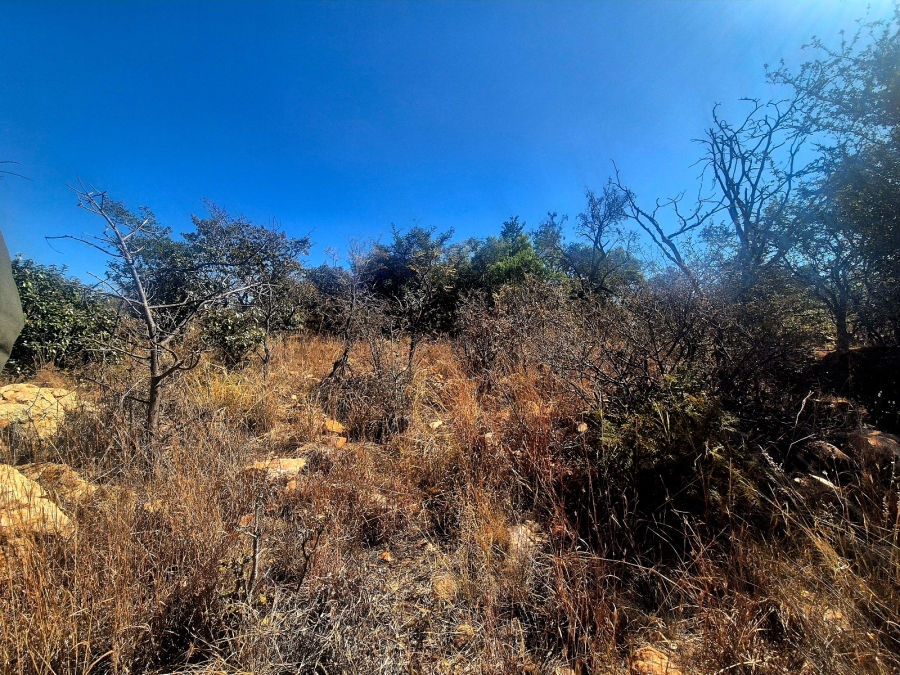 0 Bedroom Property for Sale in Mookgopong Limpopo