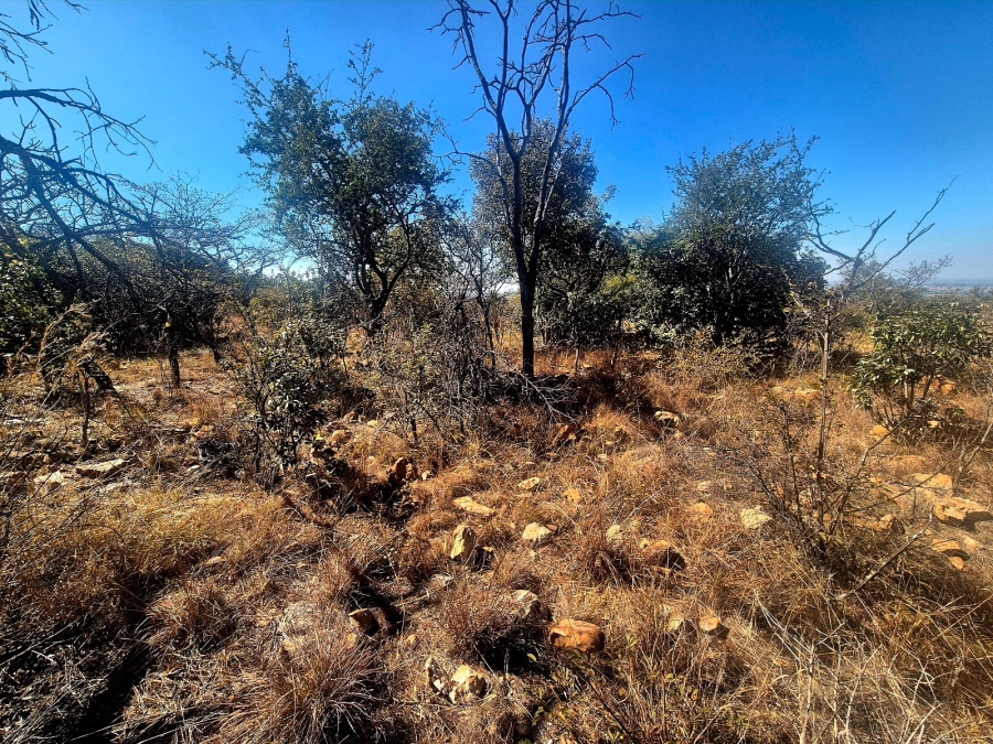 0 Bedroom Property for Sale in Mookgopong Limpopo