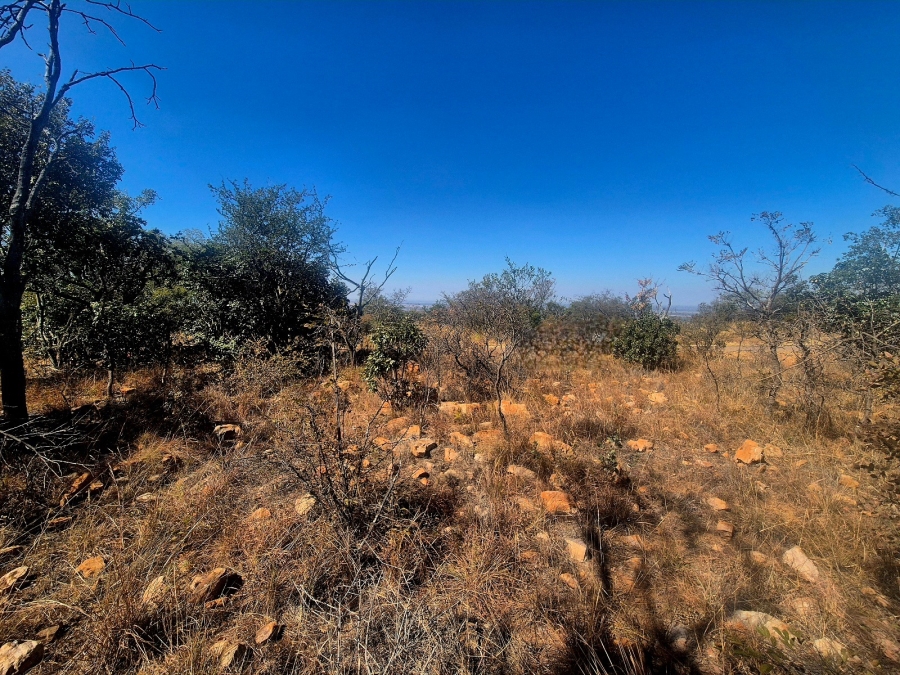 0 Bedroom Property for Sale in Mookgopong Limpopo