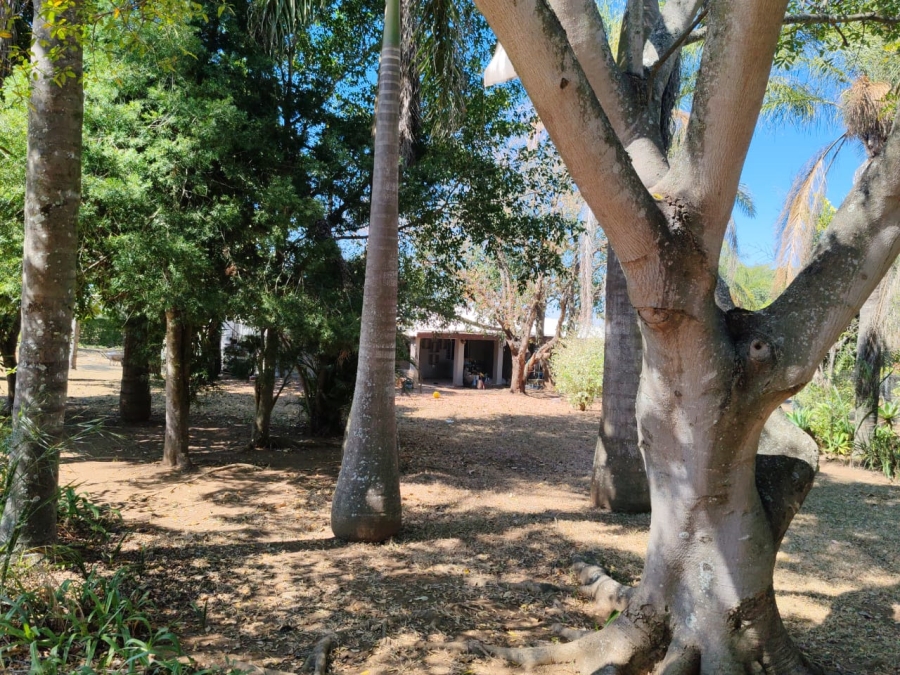 Commercial Property for Sale in Louis Trichardt Limpopo