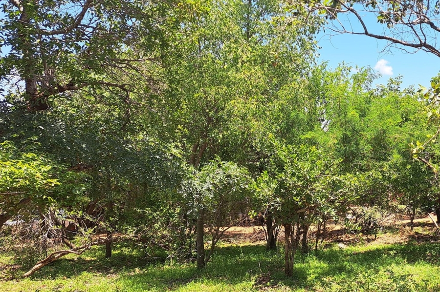 0 Bedroom Property for Sale in Leeupoort Limpopo