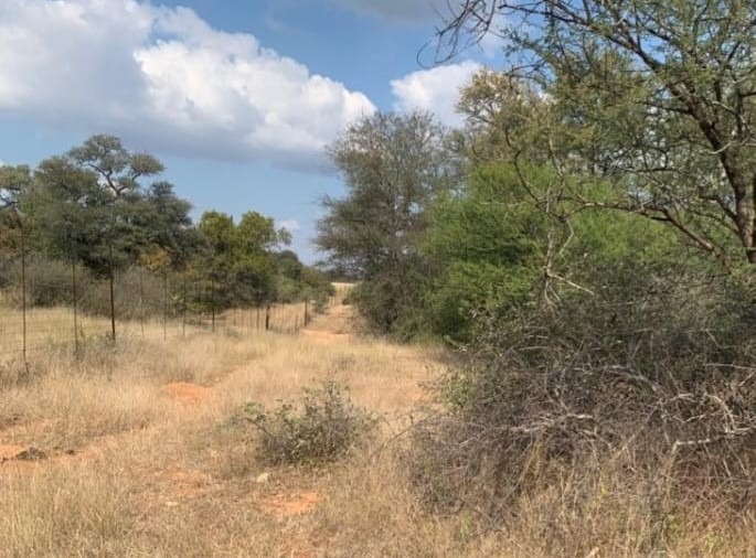 4 Bedroom Property for Sale in Blouberg Limpopo