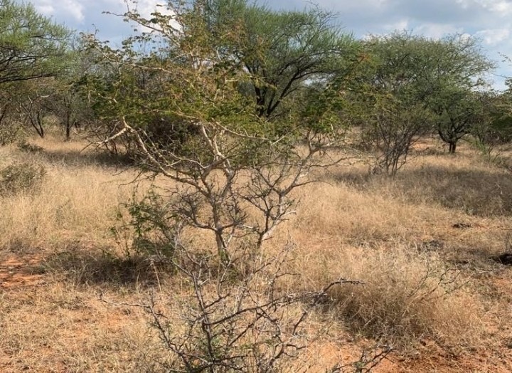 4 Bedroom Property for Sale in Blouberg Limpopo