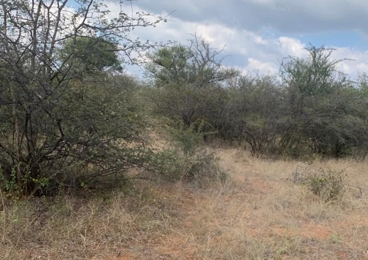 4 Bedroom Property for Sale in Blouberg Limpopo