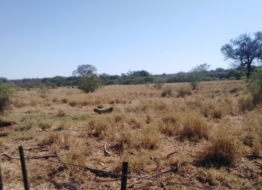 4 Bedroom Property for Sale in Blouberg Limpopo