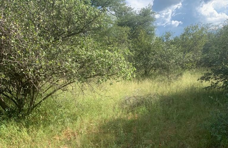 4 Bedroom Property for Sale in Blouberg Limpopo