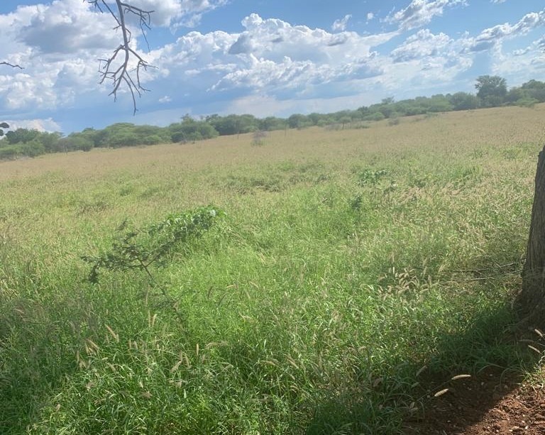 4 Bedroom Property for Sale in Blouberg Limpopo