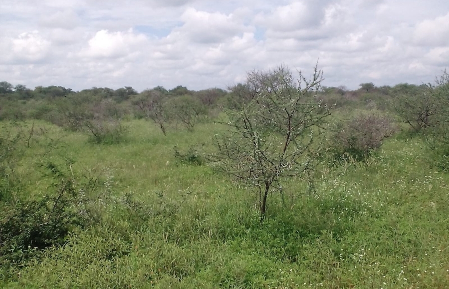 4 Bedroom Property for Sale in Blouberg Limpopo