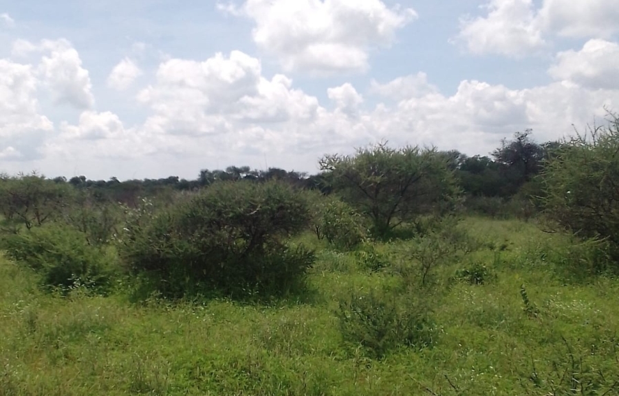 4 Bedroom Property for Sale in Blouberg Limpopo