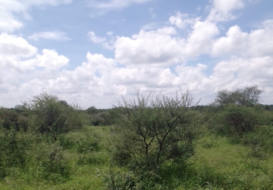 4 Bedroom Property for Sale in Blouberg Limpopo