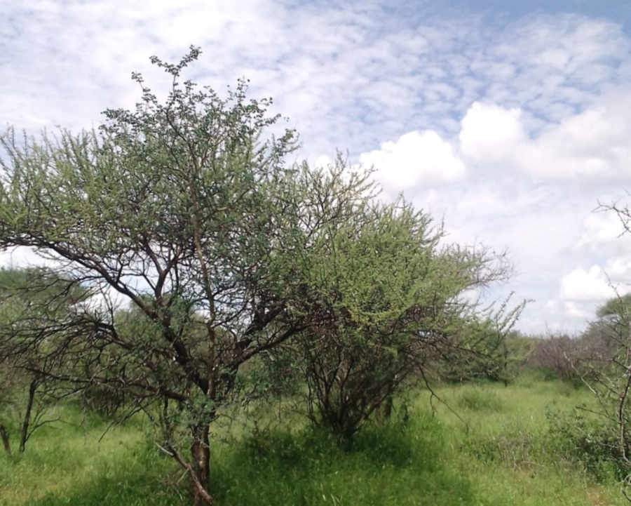 4 Bedroom Property for Sale in Blouberg Limpopo