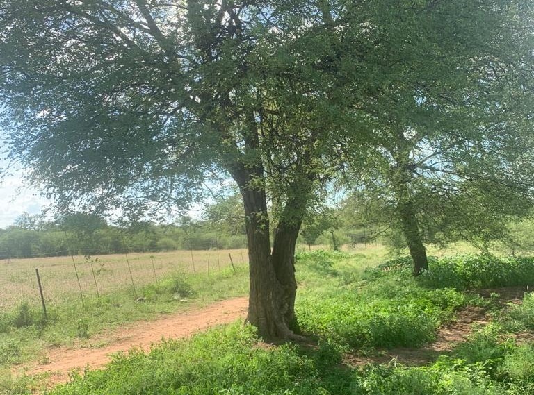 4 Bedroom Property for Sale in Blouberg Limpopo