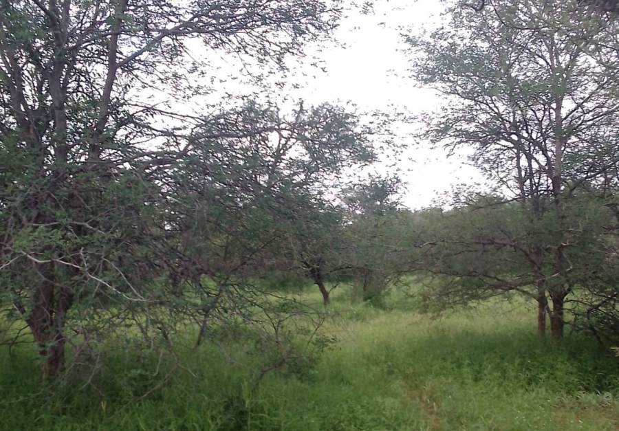 4 Bedroom Property for Sale in Blouberg Limpopo