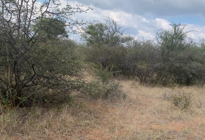 4 Bedroom Property for Sale in Blouberg Limpopo