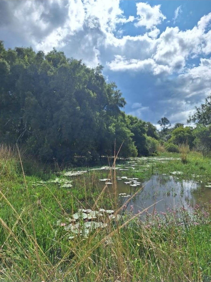 6 Bedroom Property for Sale in Modimolle Rural Limpopo