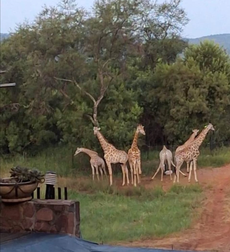 6 Bedroom Property for Sale in Modimolle Rural Limpopo