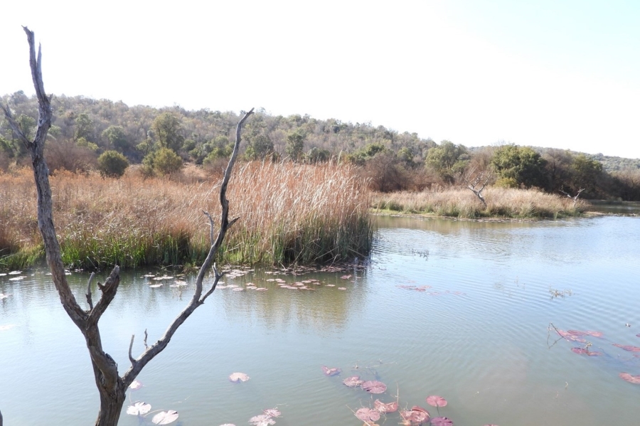 4 Bedroom Property for Sale in Highlands Wilderness Estate Limpopo